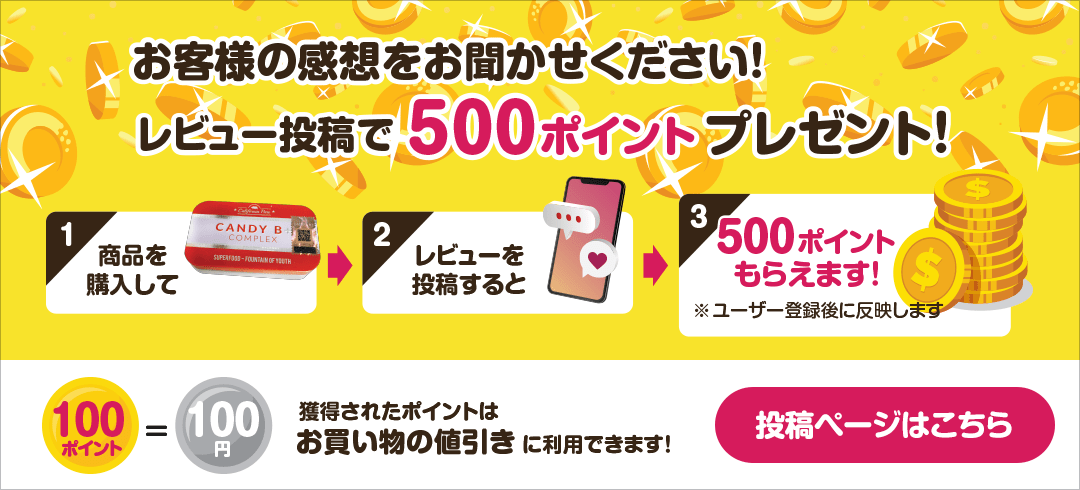 レビュー投稿で500ポイントプレゼント!